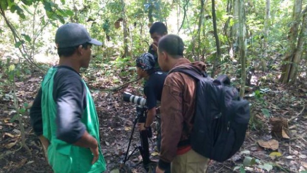 BTS Proses shooting “Corridor Harapan Satwa Liar” finalis ADC2015 “for you aceh”